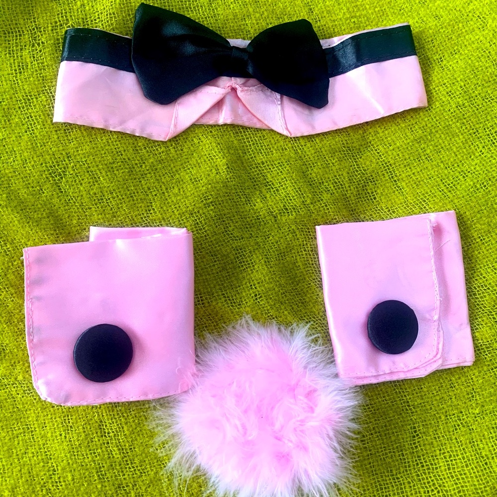 Play boy bunny accessories